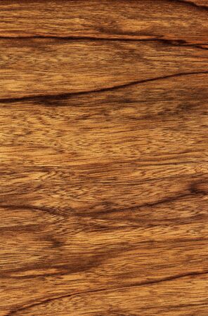 Texture of ophra  high-detailed wood texture series の写真素材