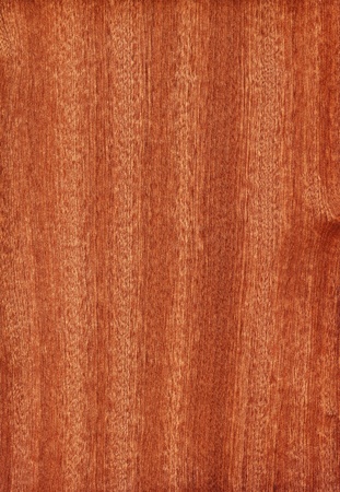 Texture of sapele  high-detailed wood texture series の写真素材