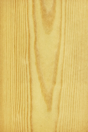 Texture of pine  high-detailed wood texture series の写真素材