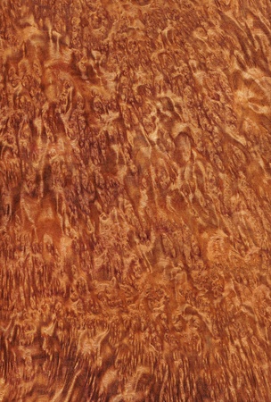 Texture of vavona  high-detailed wood texture series の写真素材
