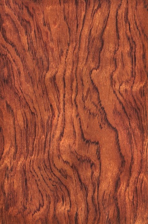 Texture of guibourtia  high-detailed wood texture series の写真素材