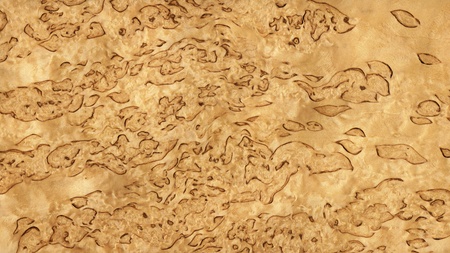 Texture of karelian birch  high-detailed wood texture series の写真素材