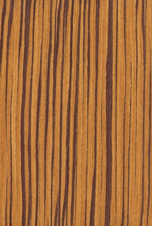 Texture of zebrano  high-detailed wood texture series の写真素材