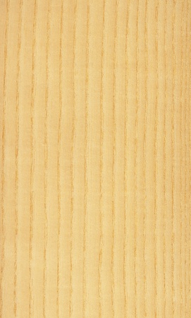 Texture of pine  high-detailed wood texture series の写真素材