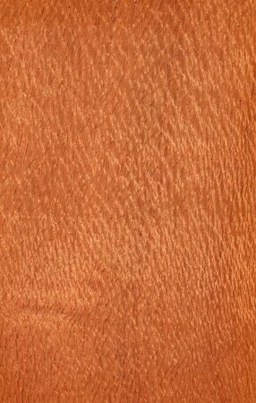 Texture of lacewood  high-detailed wood texture series の写真素材