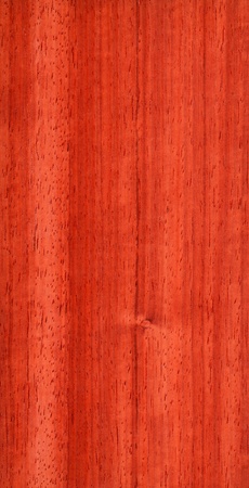 Texture of pterocarpus  high-detailed wood texture series の写真素材