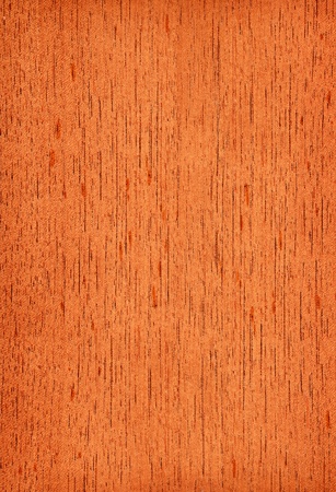 Texture of cedar  high-detailed wood texture series の写真素材