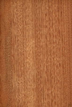 Texture of gabon  high-detailed wood texture series の写真素材