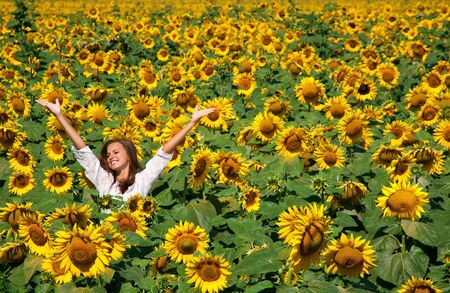 Beautiful girl on the field of sunflowersの写真素材