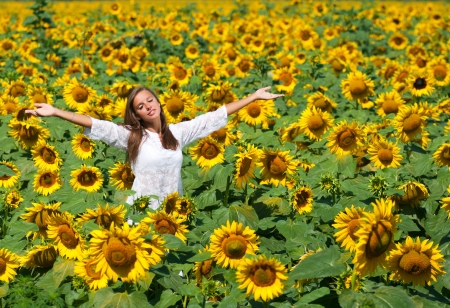 Beautiful girl on the field of sunflowersの写真素材