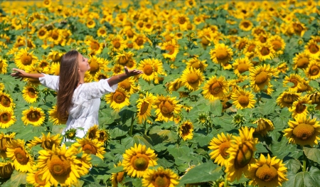 Beautiful girl on the field of sunflowersの写真素材