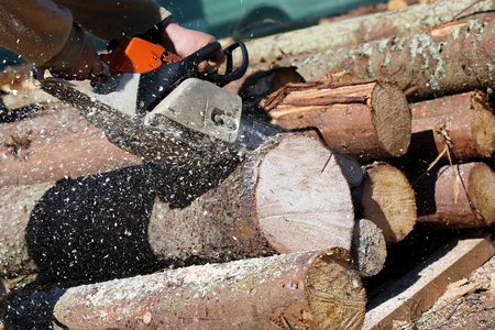 Lumberjack worker with chainsaw cutting log of woodの写真素材