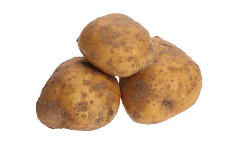 potato tuber isolated on a white backgroundの写真素材