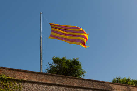 Senyera growing against the blue sky of Spainの写真素材