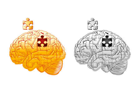 brainのイラスト素材