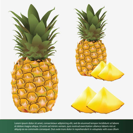 pineappleのイラスト素材