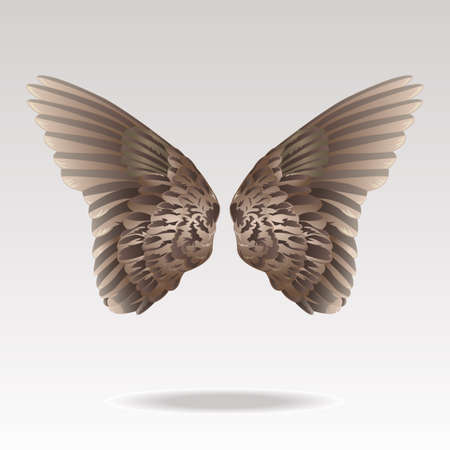 vector illustration of wingsのイラスト素材