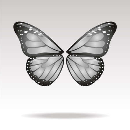 Illustration of wings.のイラスト素材