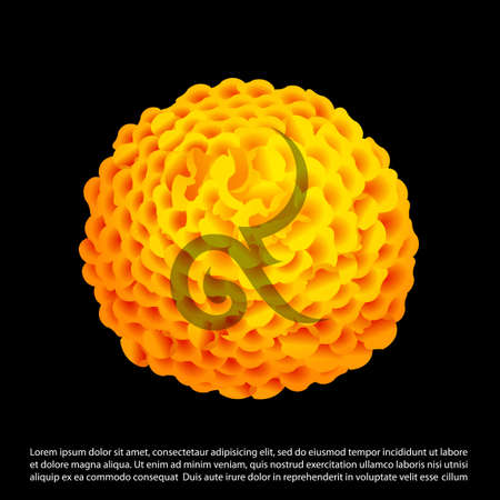 The nine in Thailand style and Marigold Flower. Rama 9 of Thailand Kingのイラスト素材