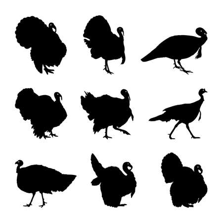 Turkey silhouette setのイラスト素材