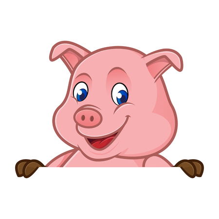 Pig cartoon holding blank sign isolated in white backgroundのイラスト素材