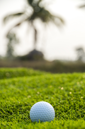Golf ball on the greenの写真素材