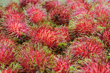 Rambutan fresh fruit for delicious foodの写真素材