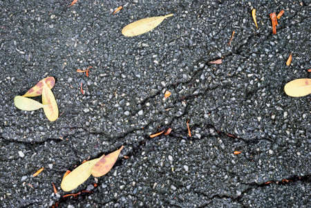 Close up for the crevasse of road surface with the leaf fallの写真素材