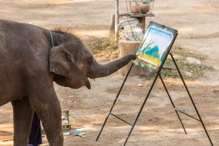 Baby elephant show his skill painting view of mountain の写真素材