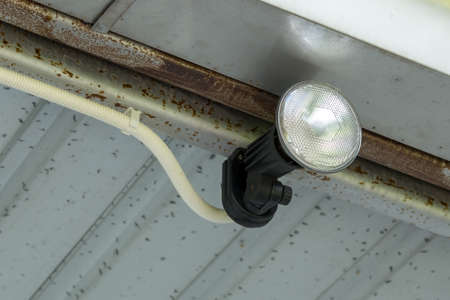 spotlight on ceilingの写真素材