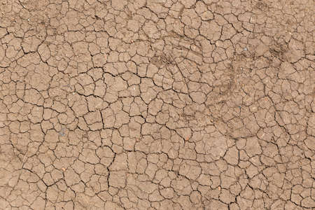 Dryness of soil