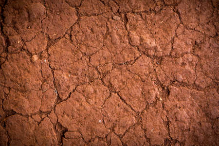 terrain cracked of dry season