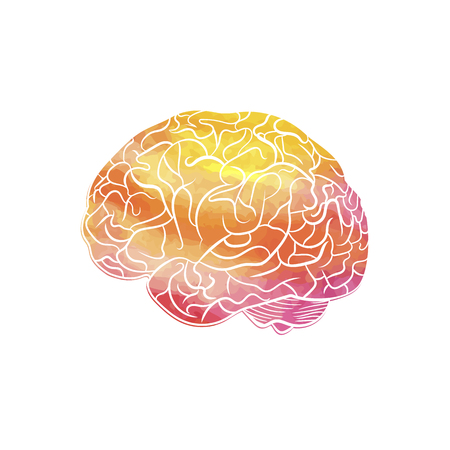 Vector Watercolor Texture Brain Isolated on White Background, Creative Mind Concept Art.のイラスト素材