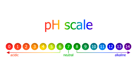 Vector pH Scale Scheme, Rainbow Colors, Isolated on White Background Illustration, Healthy Eating Concept.のイラスト素材
