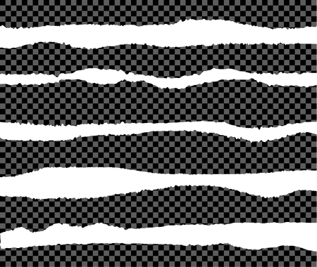 Vector Set of Torn Paper Edges, Design Elements Collection Isolated on Transparent Background.のイラスト素材