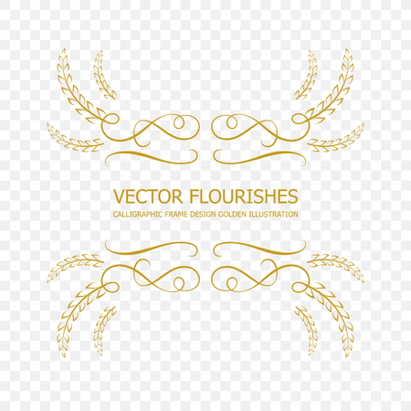 Vector Golden Calligraphic Frame, Flourish Design Element Isolated on Transparent Background, Ornamental Border Template.のイラスト素材