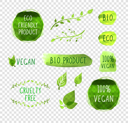 Vector Collection of Hand Drawn Leaves, Twigs, Plants, Green Paint Spots Isolated on Light Transparent Background, Vegetarian.のイラスト素材