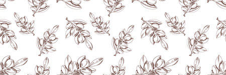 Vector Seamless Black and White Pattern: Argan Branch, Hand Drawn Outline Illustration.のイラスト素材