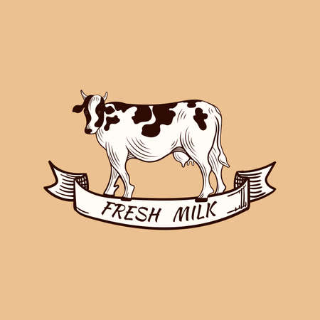 Vector Milk Cow, Vintage style illustration, banner, fresh milk.のイラスト素材