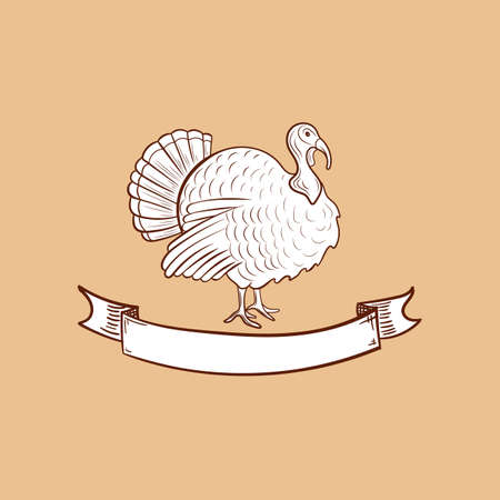 Vector Turkey sketch with vintage banner, retro style emblem template.のイラスト素材