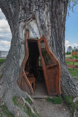 A small room in the trunk of the tree. Country: Poland, City: Chudow, region of Upper Silesia.の写真素材