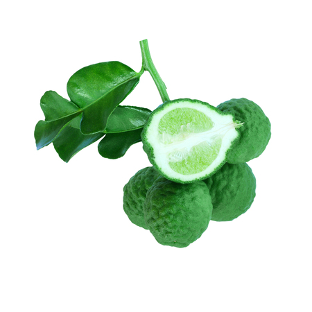 Bergamot on white backgroundの写真素材