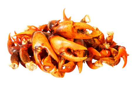 Pile of Boiled Pincers on white background, rice field crabの写真素材