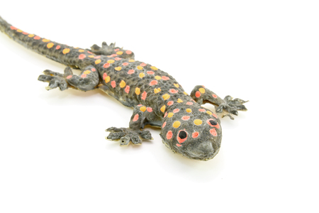 Gecko toy on white backgroundの写真素材