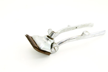 Vintage hair clipper on a white background