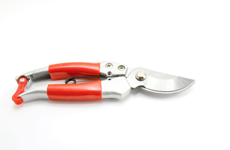 Pruning shears isolated on white backgroundの写真素材