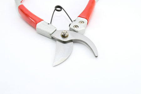 Pruning shears isolated on white backgroundの写真素材
