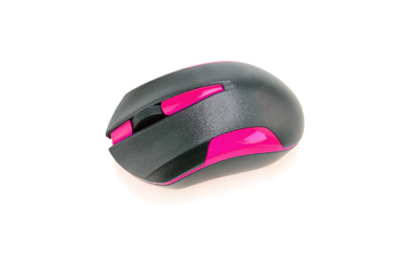 Computer mouse isolated on white backgroundの写真素材