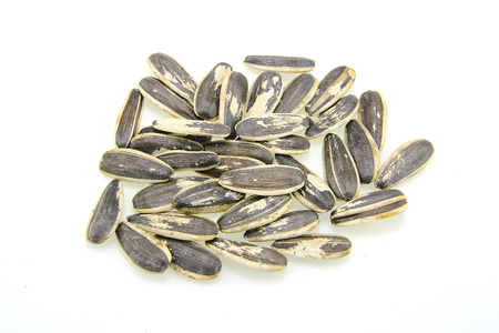 Sunflower seeds on white backgroundの写真素材