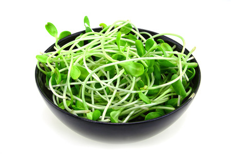 Green young sunflower sprouts in the bowl isolated on white backgroundの写真素材